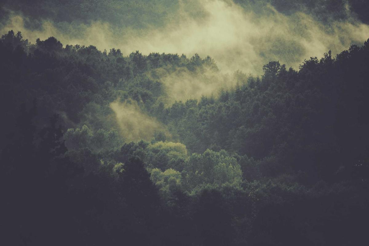 过气明星被曝隐婚生子，整整一周社交平台画面流出